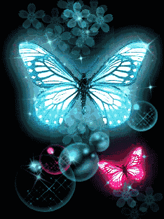 hinh nen 240x320